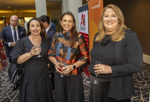 Ai Group - Industry Meets Canberra 2025